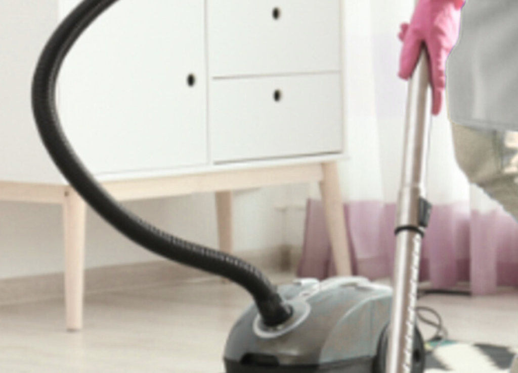 Shiny fillis cleaning service