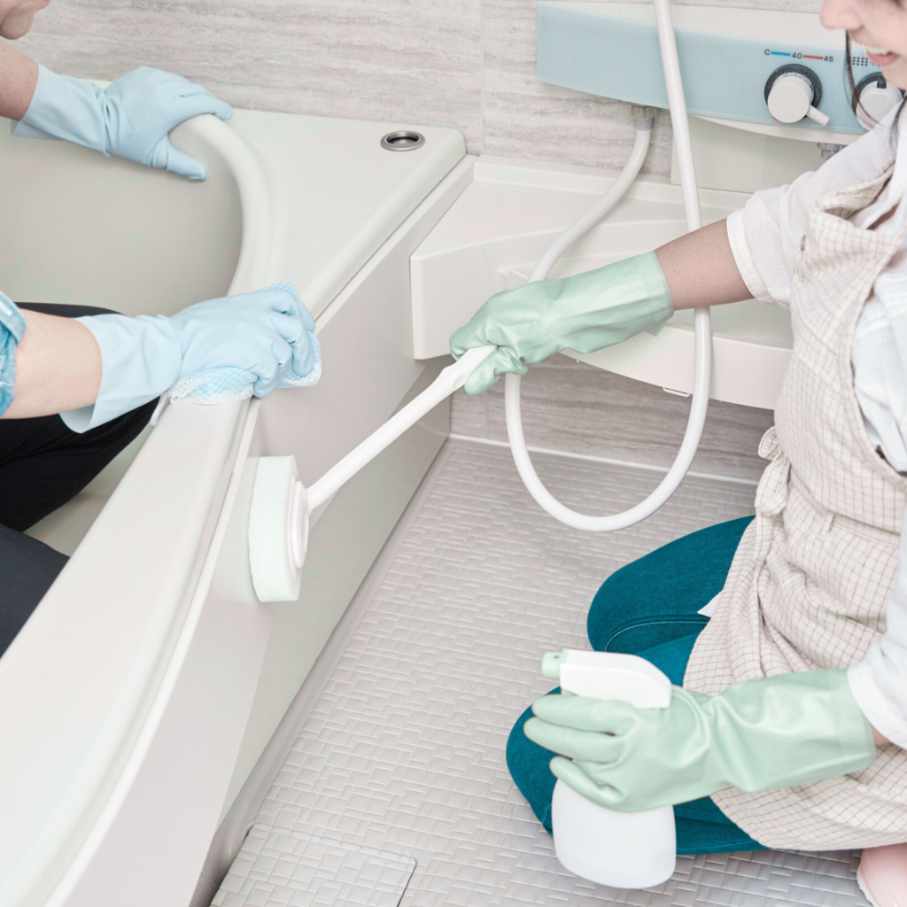 shiny fillis cleaning services