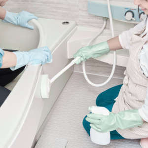 shiny fillis cleaning services